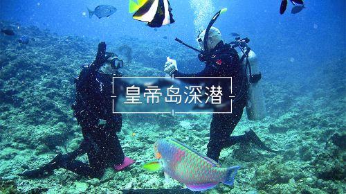 蔡少芬的“谎言”,让观众彻底明白了谢娜在这档节目有多尴尬